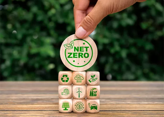 Liderazgo Ambiental: