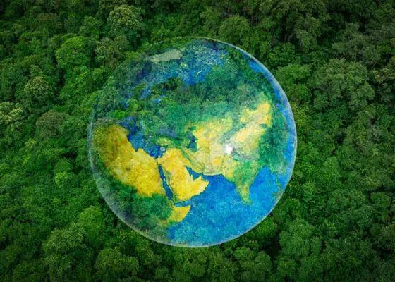 Alcance global: